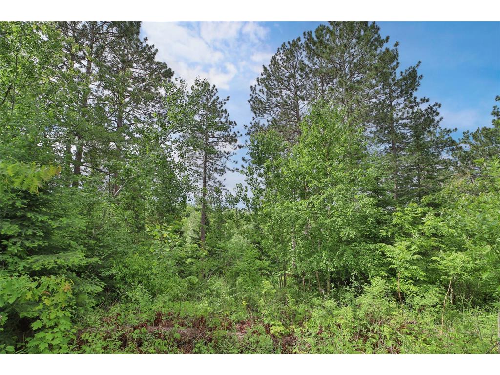 21097 Gilmer Road Crosby MN 56441 6719137 image36