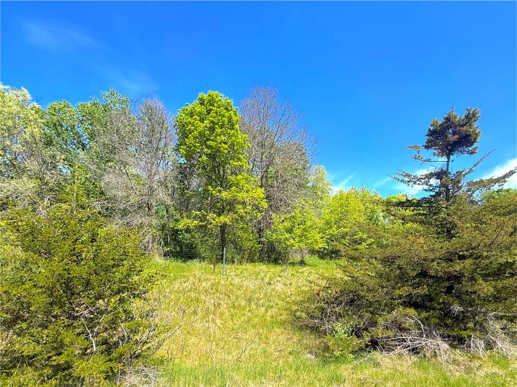 210XX County Road 75 Clearwater MN 55320 - Plum Creek 7083126 image10