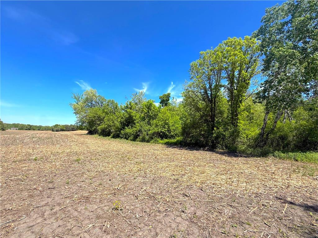210XX County Road 75 Clearwater MN 55320 - Plum Creek 7083126 image12