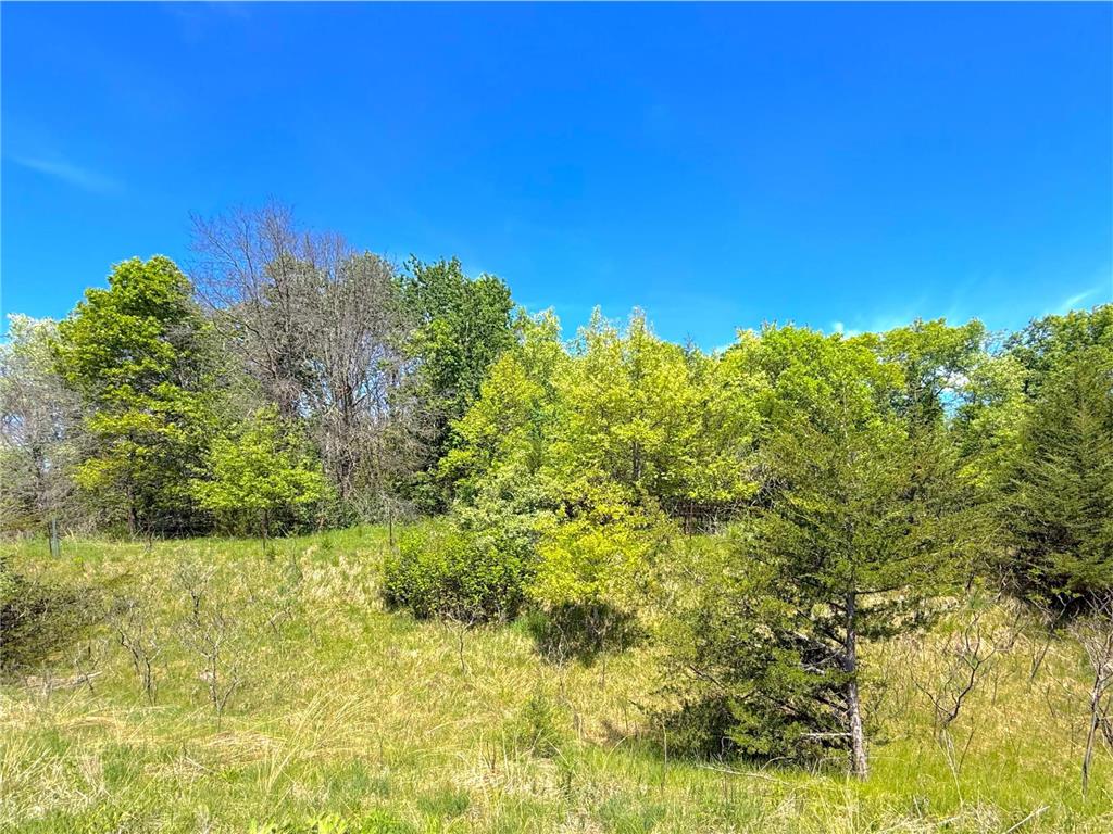 210XX County Road 75 Clearwater MN 55320 - Plum Creek 7083126 image3