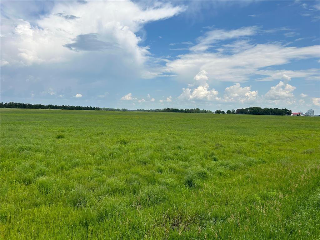 210th Street 860th Ave Ericson Twp MN 56284 6567867 image1