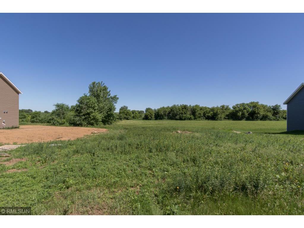 211 5th Street NE, Racine, MN 55967 MLS 5734593 Edina Realty