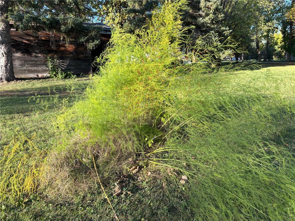 211 7th Avenue SE Baudette MN 56623 6795926 image12