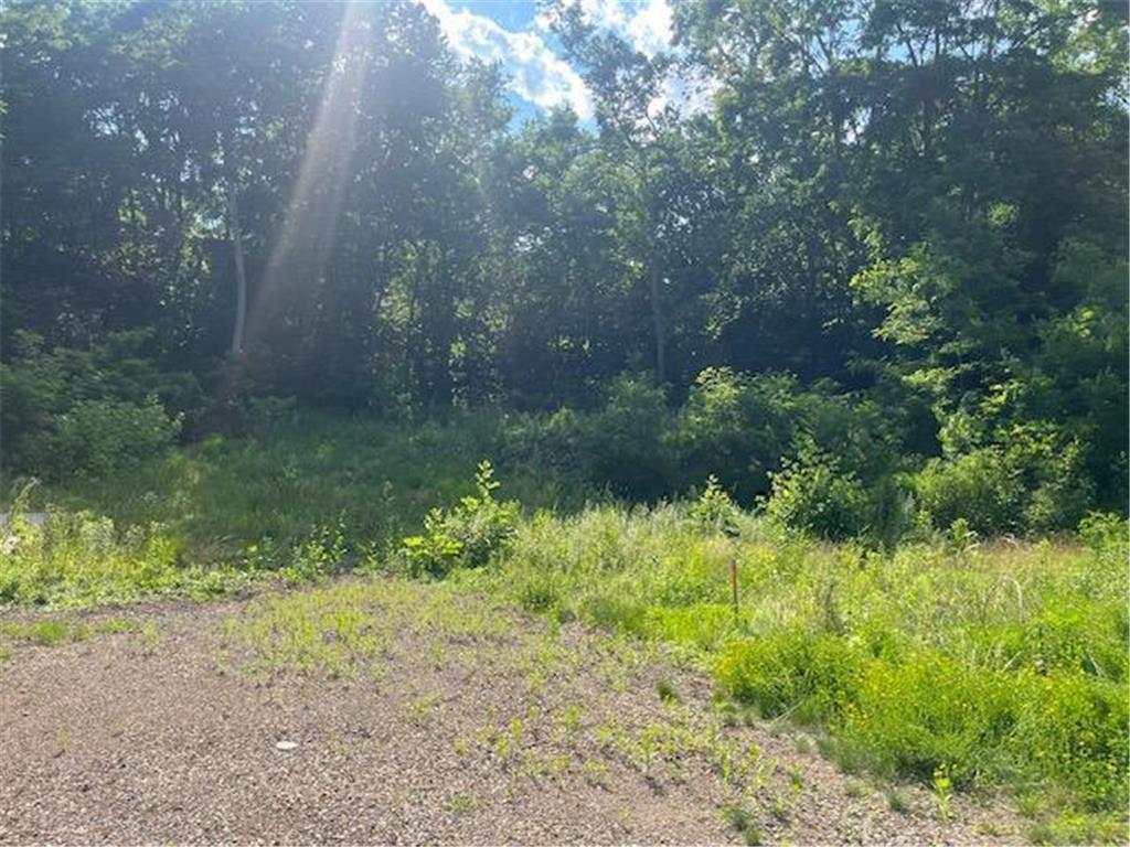 211 Olive Street W Stillwater MN 55082 6751239 image5