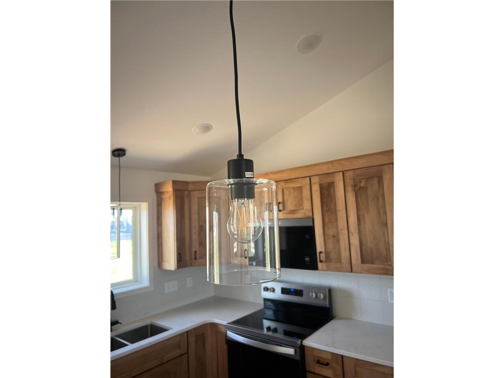2110 Douglas Trail Drive SE Pine Island MN 55963 7073308 image9