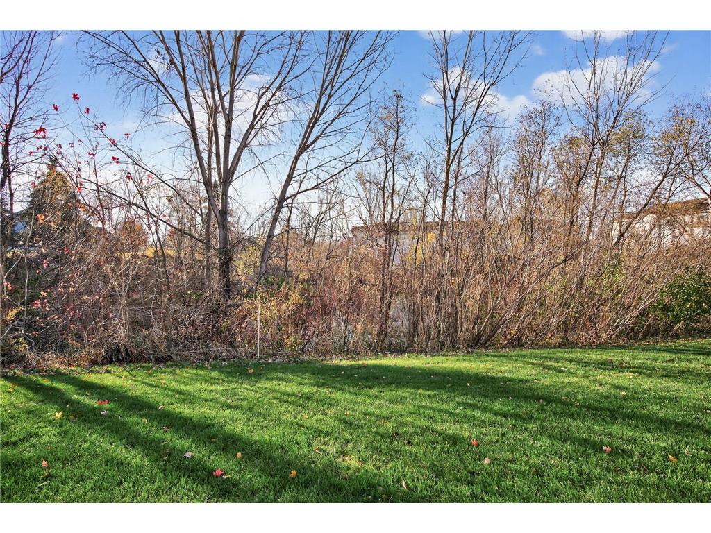 21113 S Clydesdale Curve Forest Lake MN 55025 6816094 image23