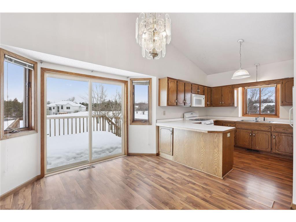 21125 W Linwood Drive NE Linwood Twp MN 55092 - SKUNK 6313318 image1