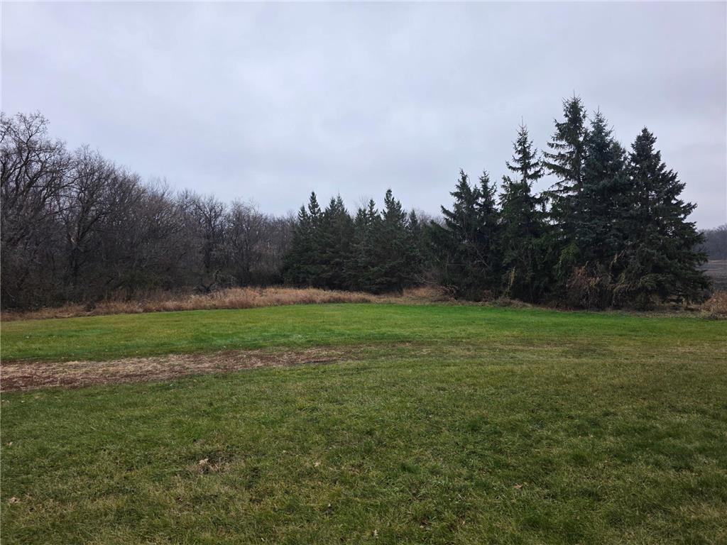 2113 210th Street Chief Twp MN 56557 6819671 image6