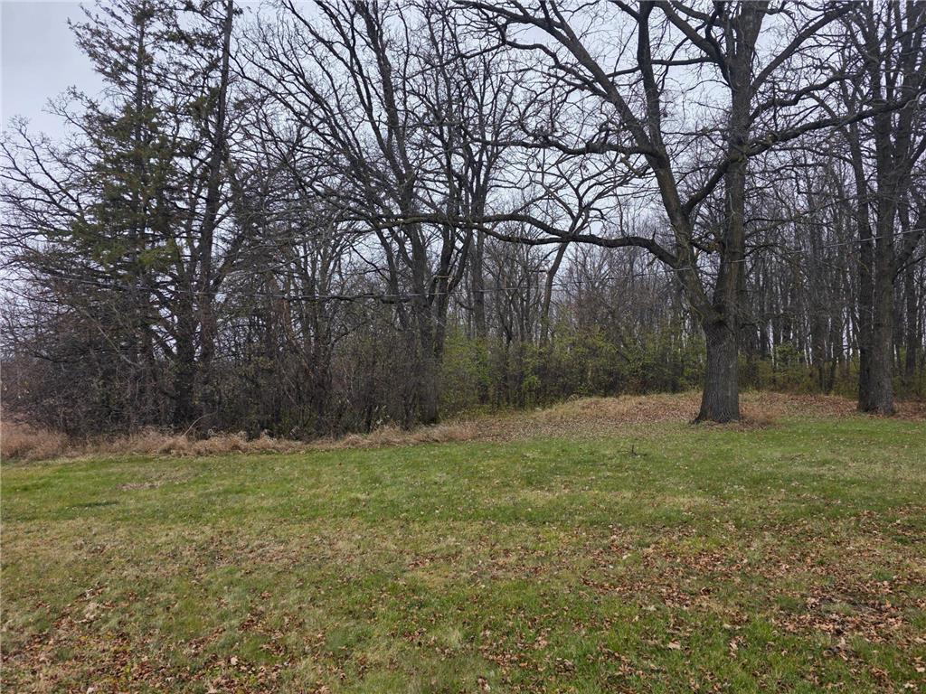 2113 210th Street Chief Twp MN 56557 6819671 image7