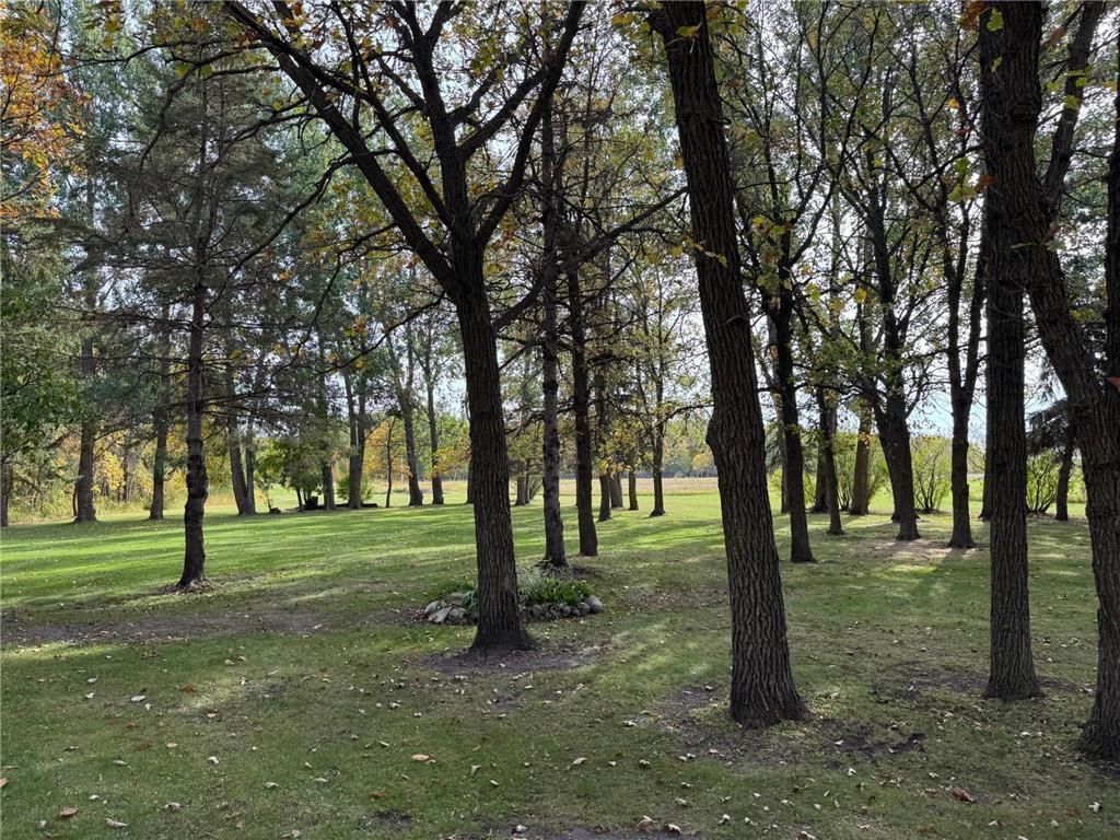 21136 State Highway 89 Grimstad Twp MN 56751 6797621 image30