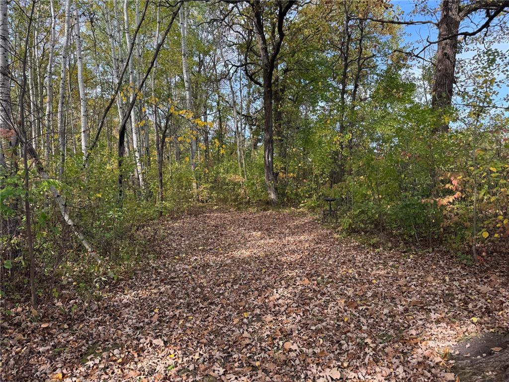 21136 State Highway 89 Grimstad Twp MN 56751 6797621 image34