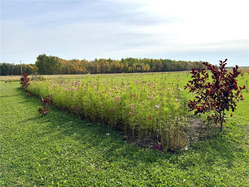 21136 State Highway 89 Grimstad Twp MN 56751 6797621 image36