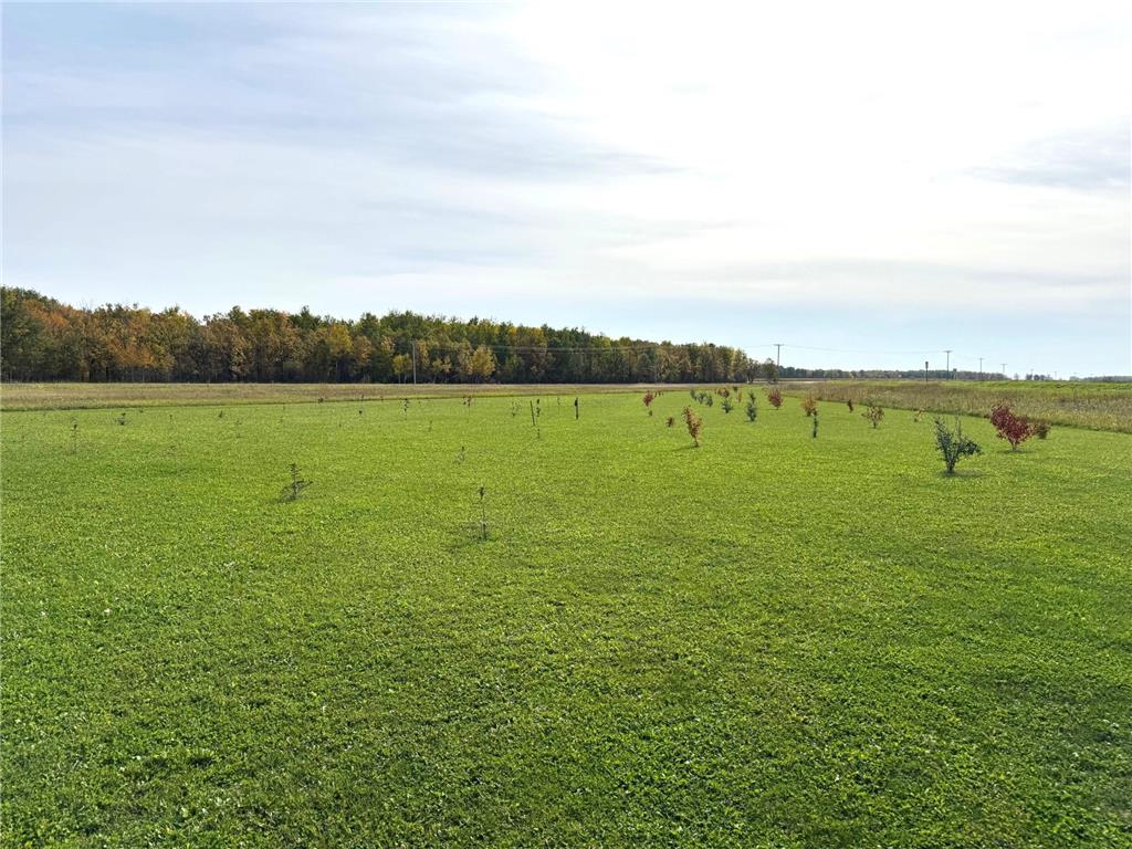 21136 State Highway 89 Grimstad Twp MN 56751 6797621 image39