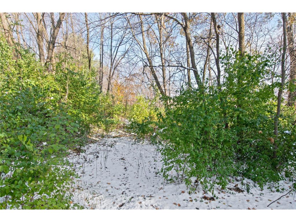 21145 Fondant Avenue N Forest Lake MN 55025 6693902 image16