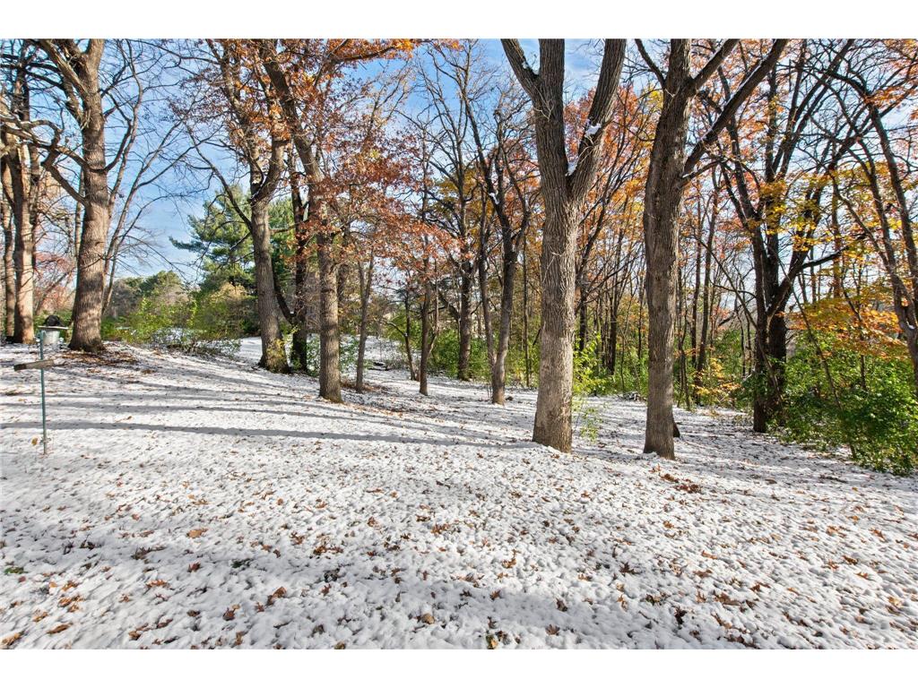 21145 Fondant Avenue N Forest Lake MN 55025 6693902 image17