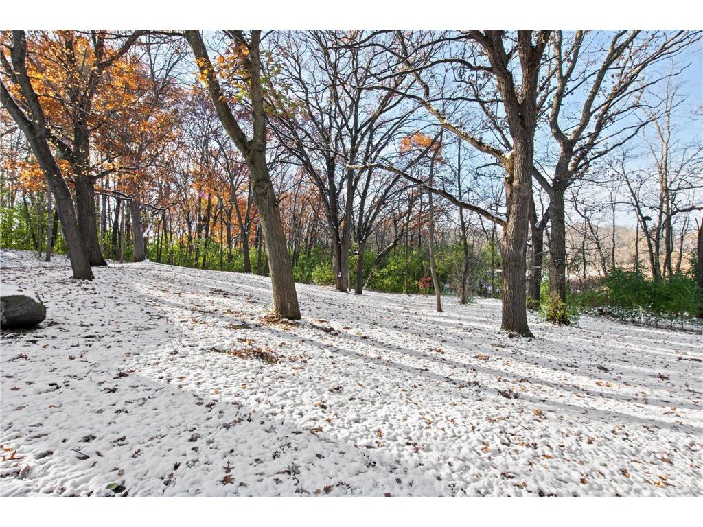 21145 Fondant Avenue N Forest Lake MN 55025 6693902 image18