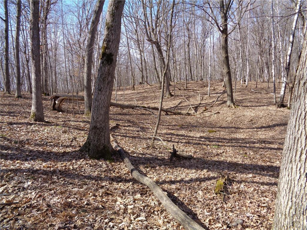 2115 210th Street Eureka Twp WI 54824 7047842 image1