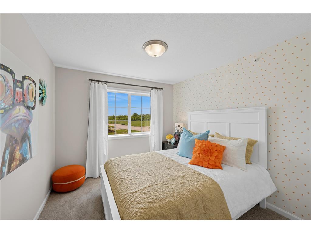 2115 Birch Lane Montrose MN 55363 7040049 image13