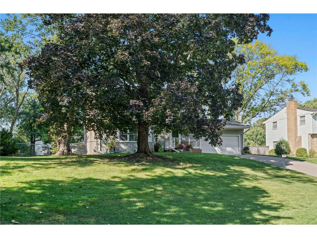 2115 Decatur Avenue N Golden Valley MN 55427 7061015 image73