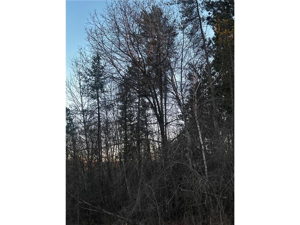 2115 S Brookview Drive Arthur Twp MN 55051 7070842 image2