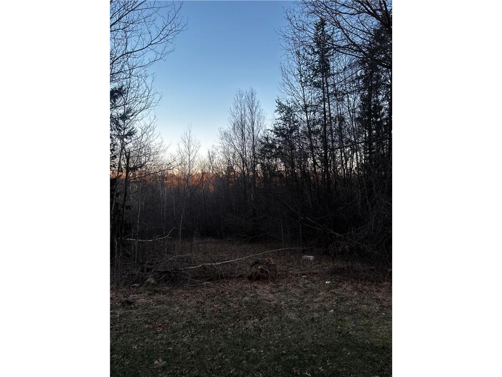 2115 S Brookview Drive Arthur Twp MN 55051 7070842 image3
