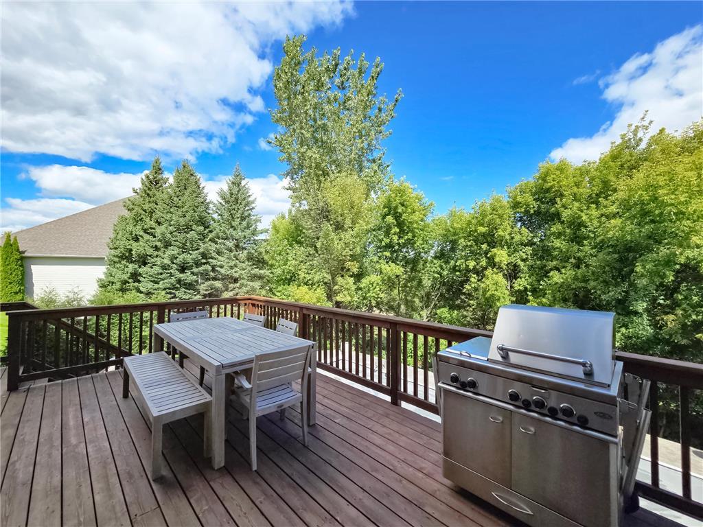 21157 Ridgewood Trail Credit River Twp MN 55044 7062601 image37
