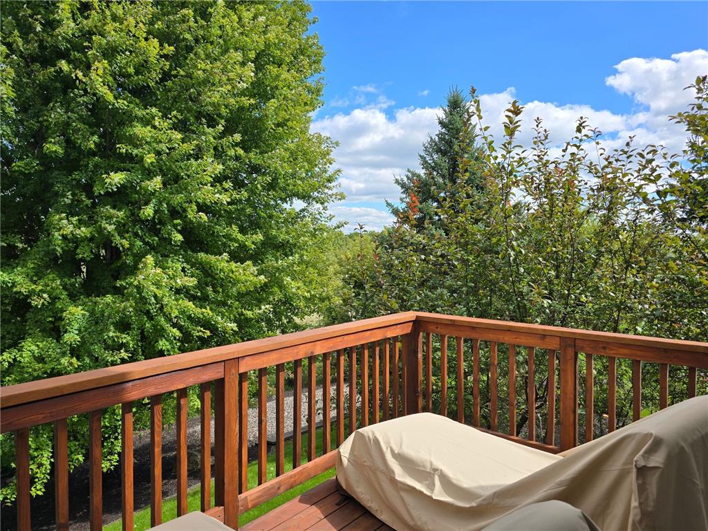 21157 Ridgewood Trail Credit River Twp MN 55044 7062601 image44