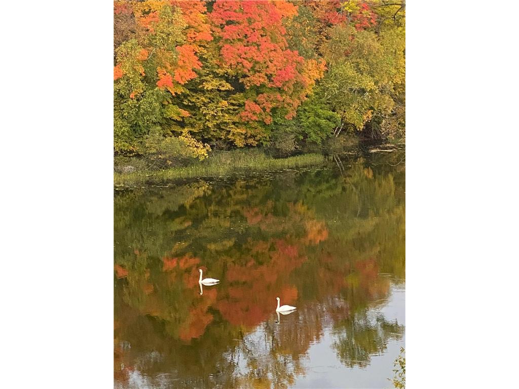 21168 Klein Road #1 Detroit Lakes MN 56501 7018531 image100