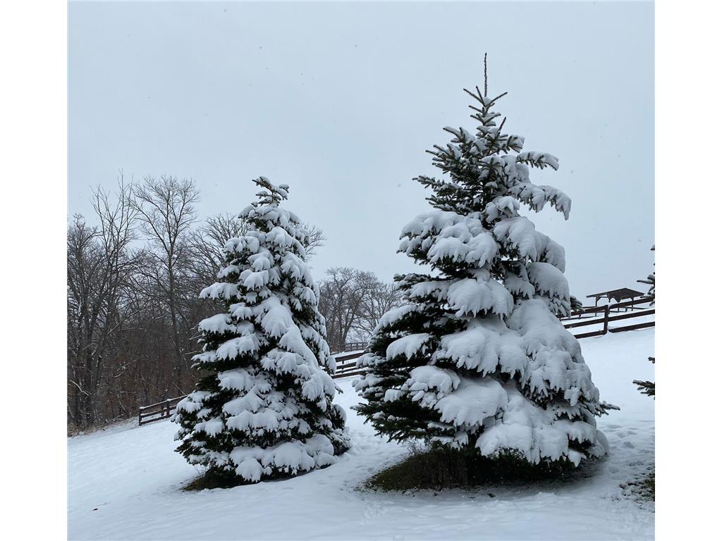 21168 Klein Road #1 Detroit Lakes MN 56501 7018531 image103