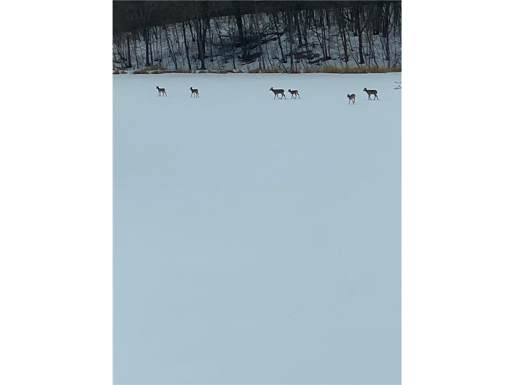 21168 Klein Road #1 Detroit Lakes MN 56501 7018531 image107