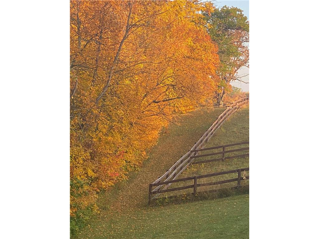 21168 Klein Road #1 Detroit Lakes MN 56501 7018531 image115