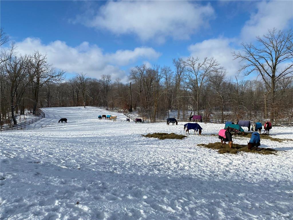 21168 Klein Road #1 Detroit Lakes MN 56501 7018531 image16