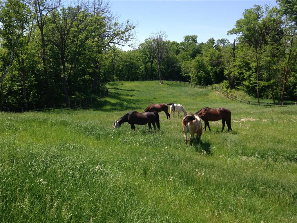 21168 Klein Road #1 Detroit Lakes MN 56501 7018531 image8