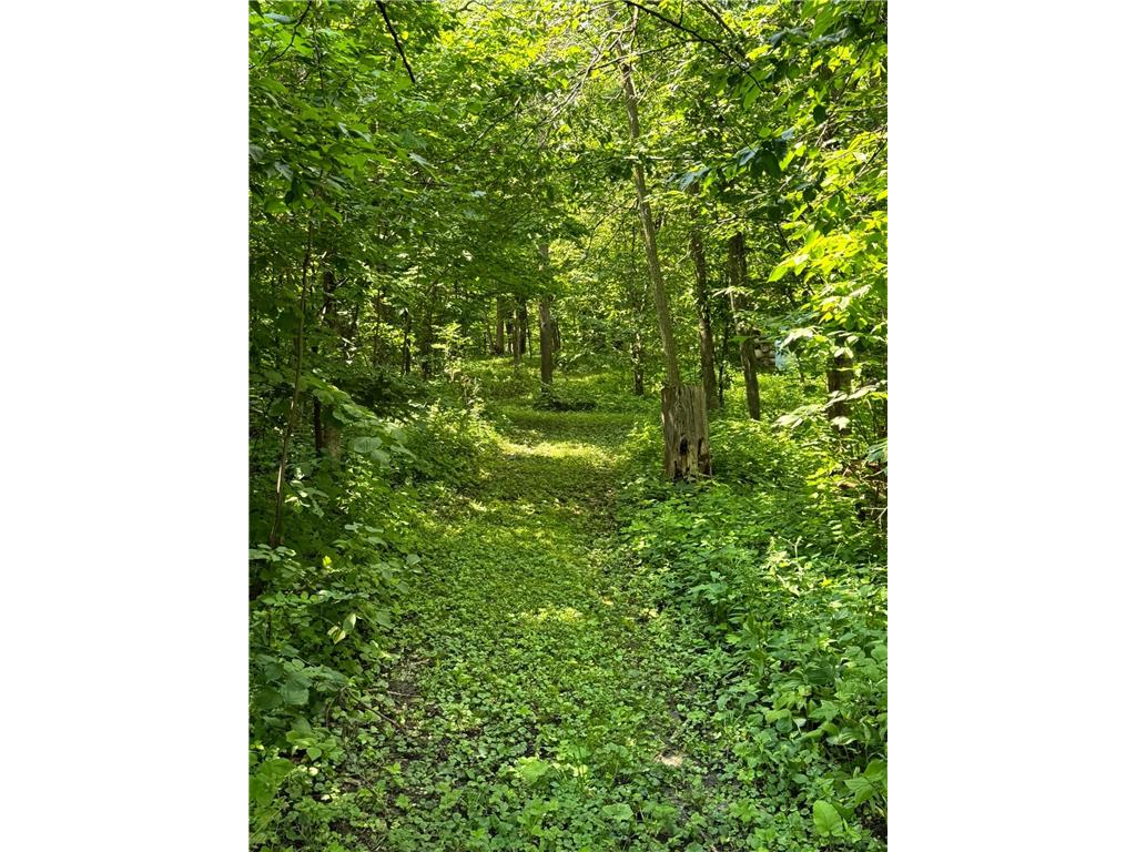 21168 Klein Road #1 Detroit Lakes MN 56501 7018531 image80