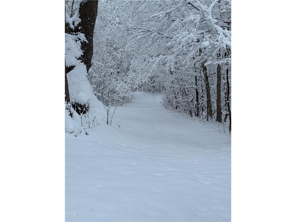 21168 Klein Road #1 Detroit Lakes MN 56501 7018531 image87