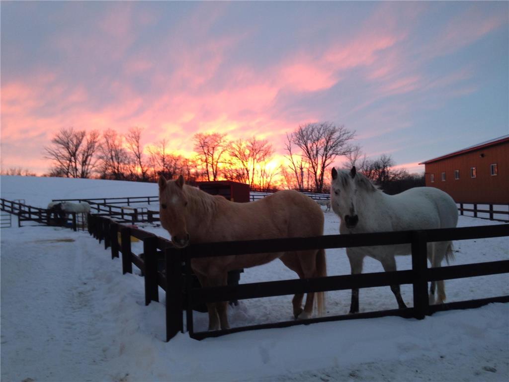 21168 Klein Road #1 Detroit Lakes MN 56501 7018531 image92