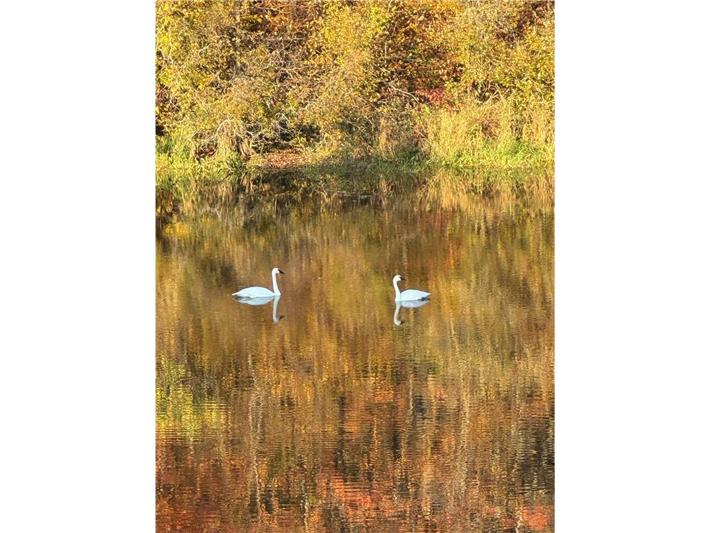 21168 Klein Road #1 Detroit Lakes MN 56501 7018531 image93