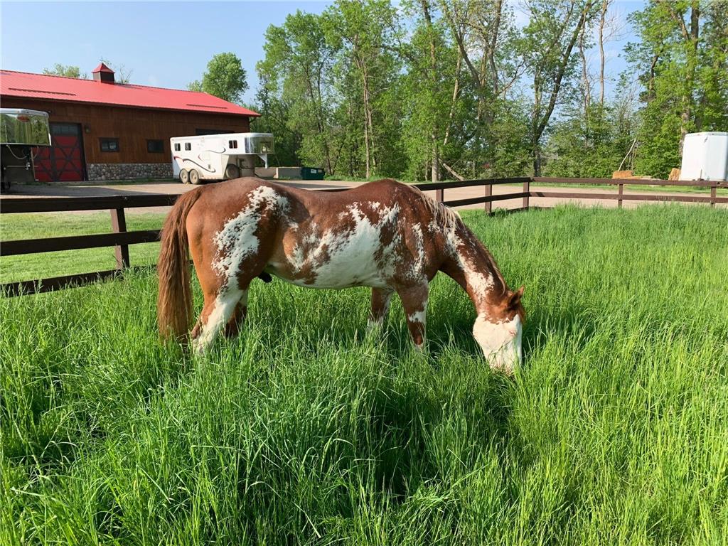 21168 Klein Road #1 Detroit Lakes MN 56501 7018531 image94