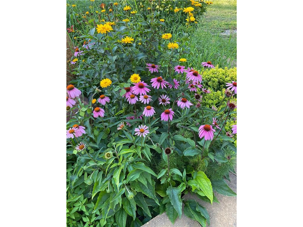 21168 Klein Road Detroit Lakes MN 56501 7018501 image100