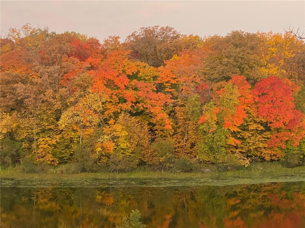 21168 Klein Road Detroit Lakes MN 56501 7018501 image102