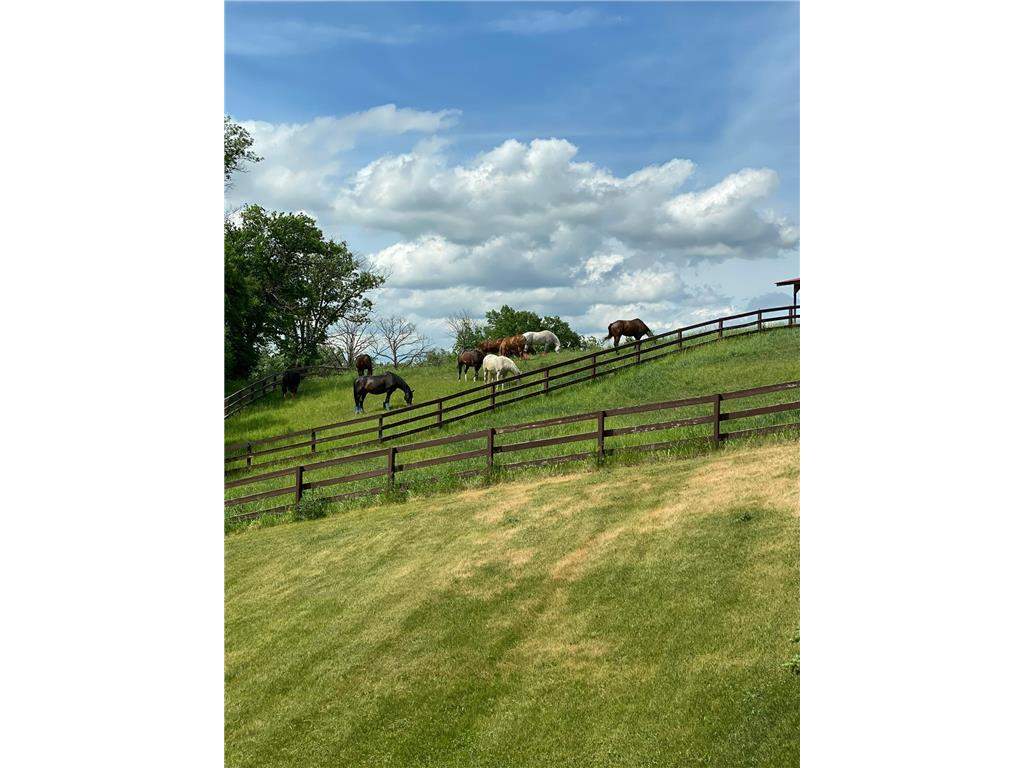 21168 Klein Road Detroit Lakes MN 56501 7018501 image109