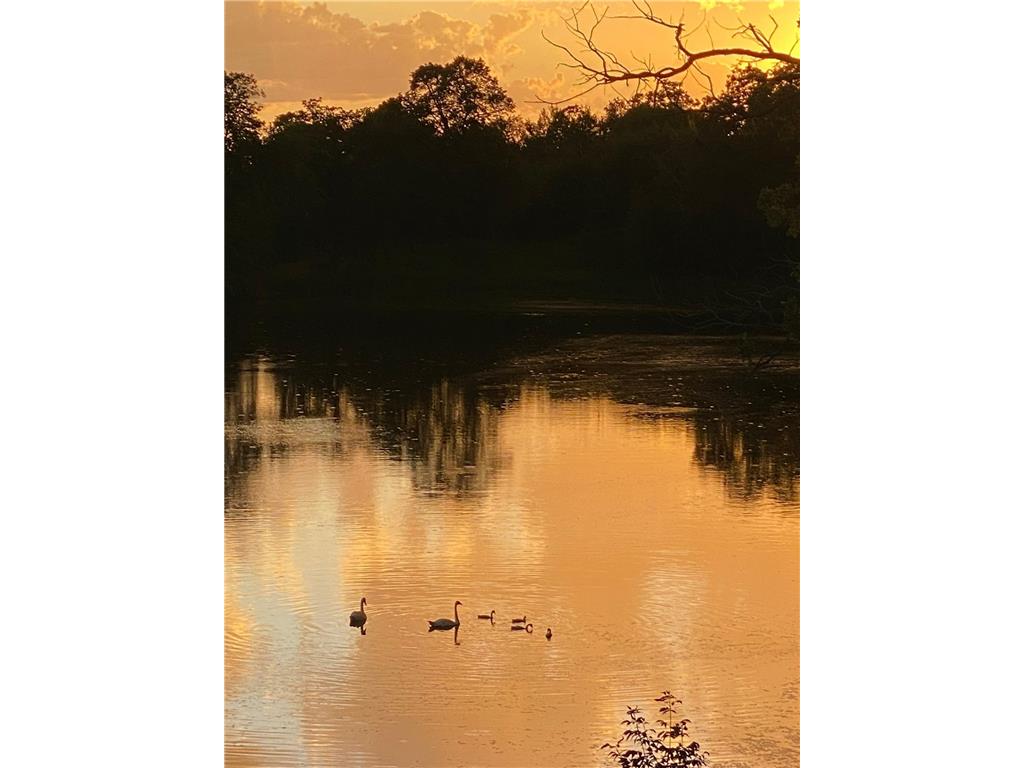 21168 Klein Road Detroit Lakes MN 56501 7018501 image114