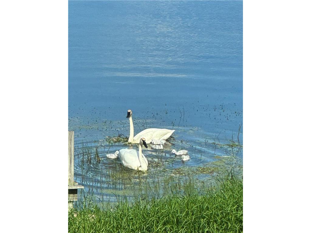 21168 Klein Road Detroit Lakes MN 56501 7018501 image87