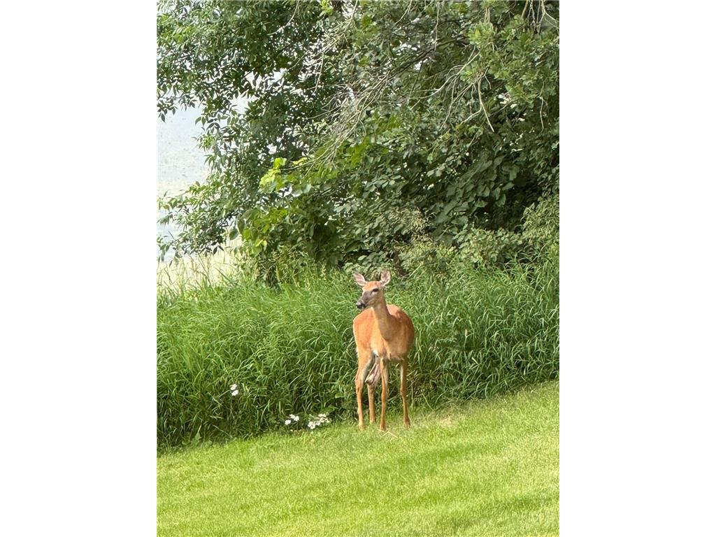 21168 Klein Road Detroit Lakes MN 56501 7018501 image88