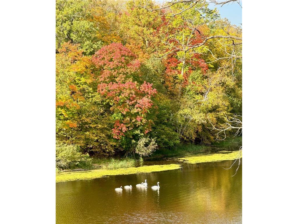 21168 Klein Road Detroit Lakes MN 56501 7018501 image90