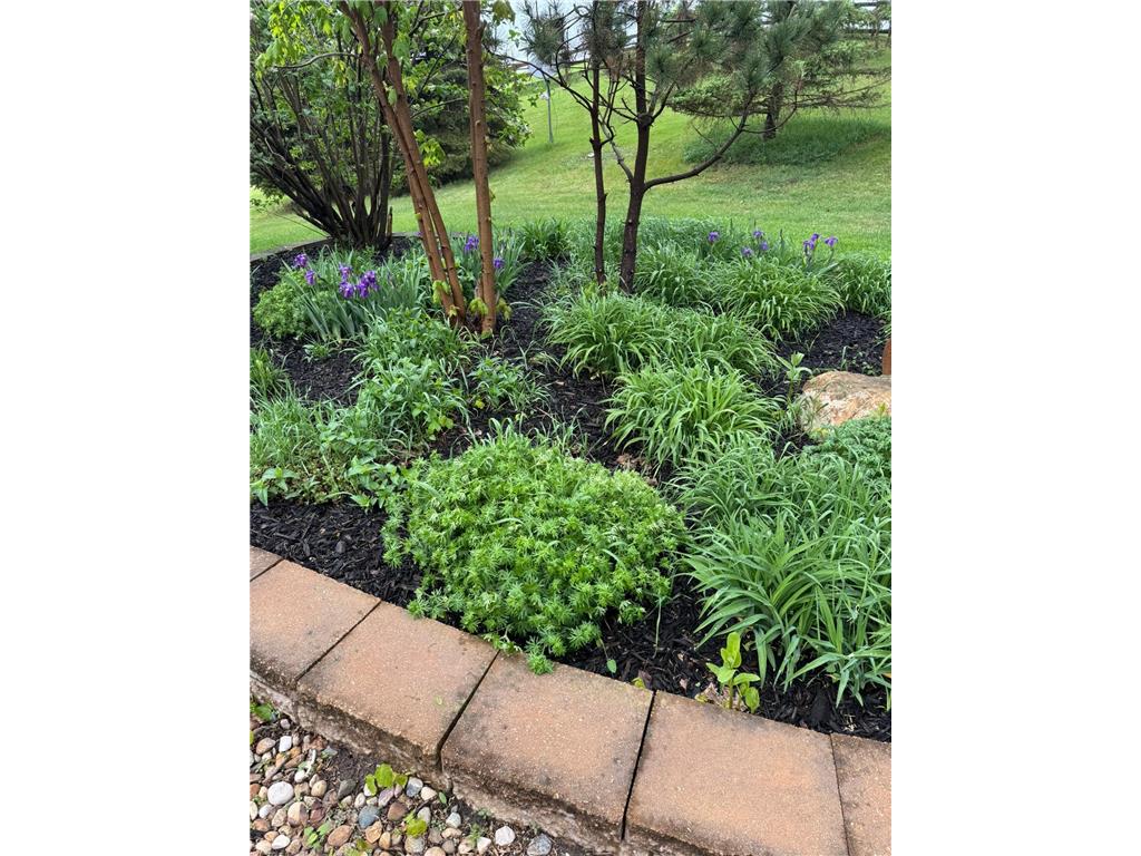 21168 Klein Road Detroit Lakes MN 56501 7018501 image94