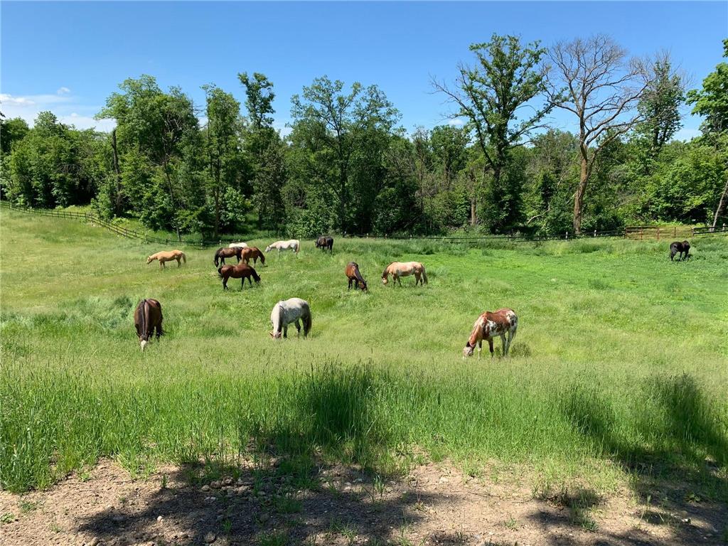 21168 Klein Road Detroit Lakes MN 56501 7018501 image97