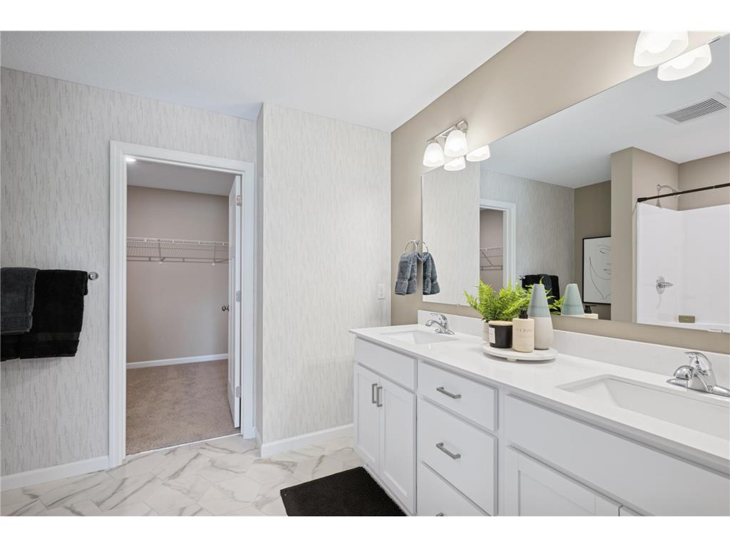 2117 Birch Lane Montrose MN 55363 7078592 image11