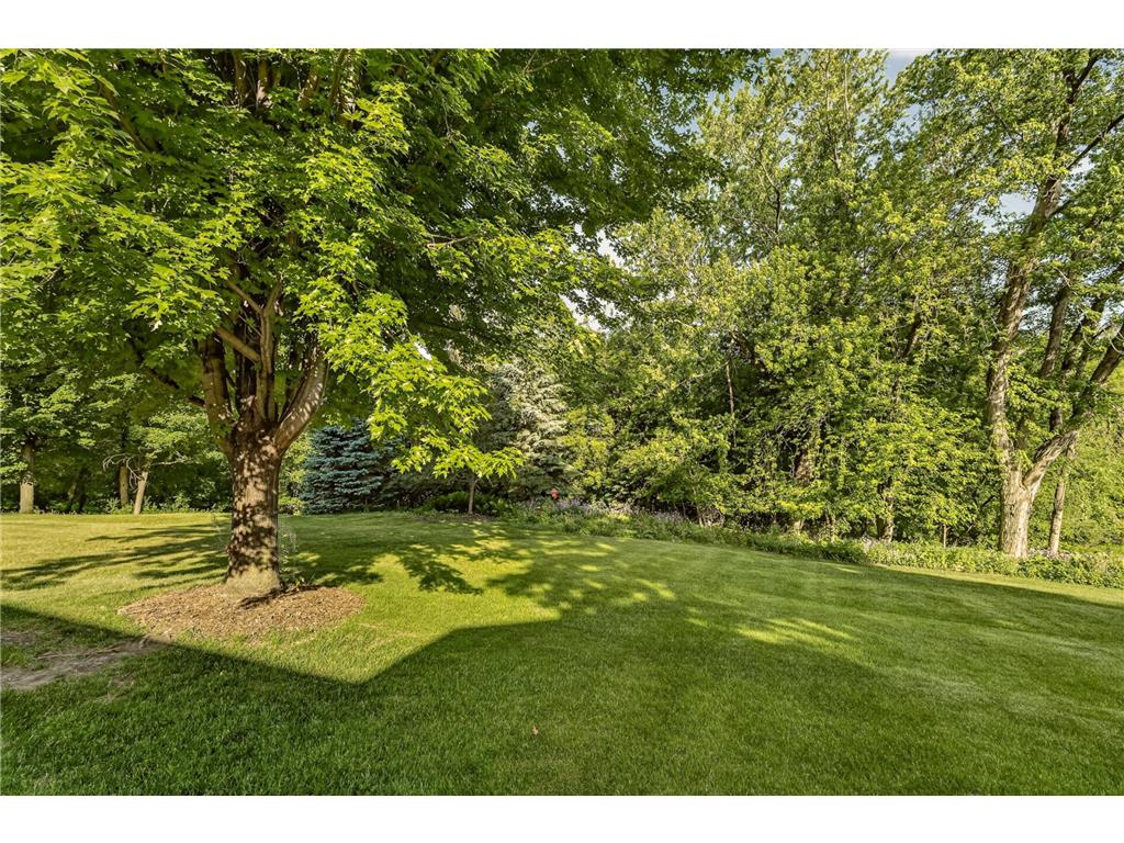2117 Telemark Lane NW Rochester MN 55901 7085407 image35