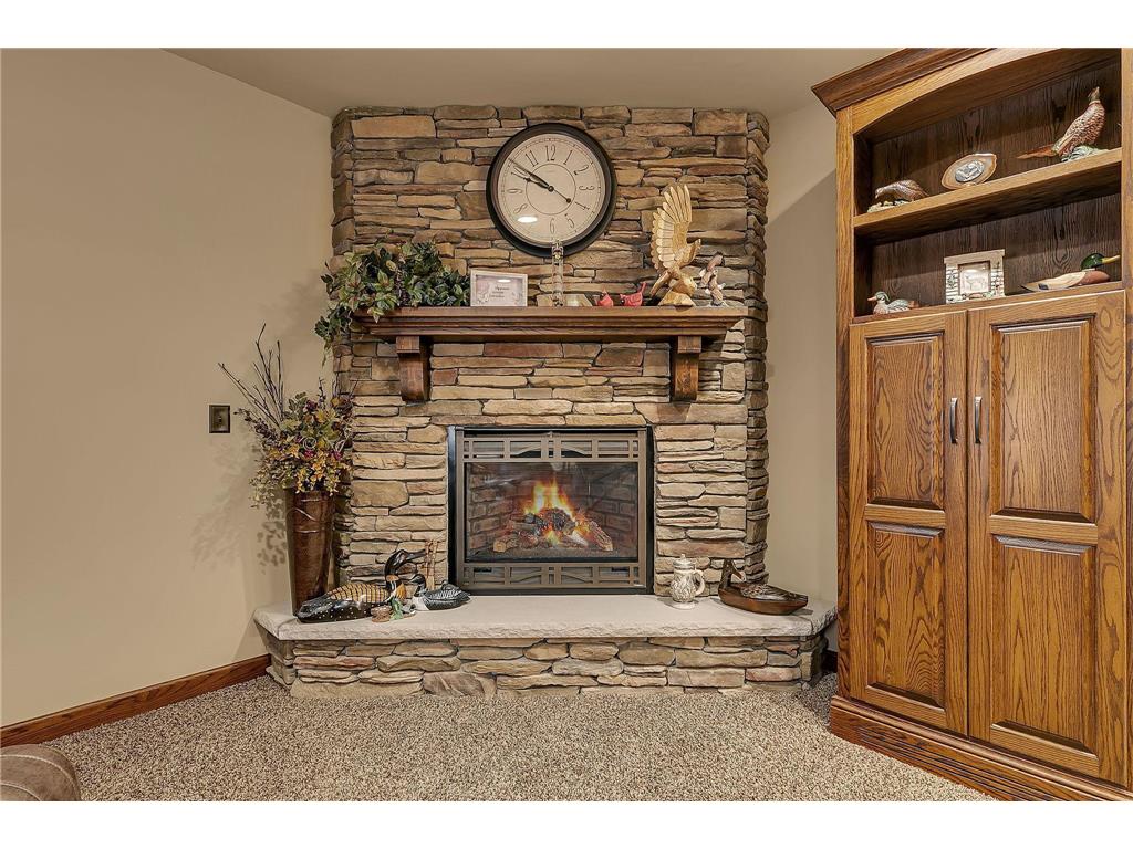 21173 280th Street Richmond MN 56368 7059840 image35